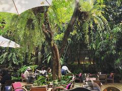 -Fern Forest Cafe