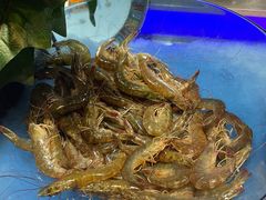 -加餐海鲜自助(集美银泰百货店)