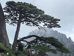 -黄山风景区
