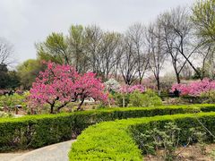 -洛阳市隋唐城遗址植物园