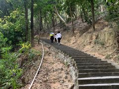 -火炉山森林公园