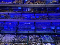 -青蓬蒸汽海鲜·深圳老字号·团建聚会(壹方城店)