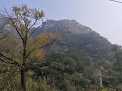 -大岭沟猕猴桃谷风景区