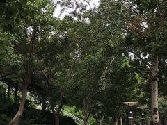 -燕塞湖鸟语林景区