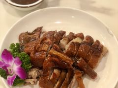 -鹅掂·大岭山烧鹅