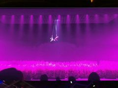 -芜湖方特东方神画