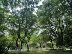 -明故宫遗址公园