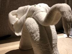 -西双版纳融创皇冠假日度假酒店