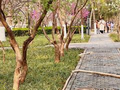 -山东大学(洪家楼校区)