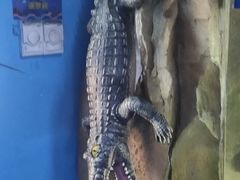 -沙沙哗啦海洋馆(华宇百花谷店)