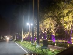 -仙湖旅游度假区