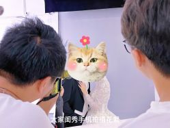 -你好晴天·目的地婚礼