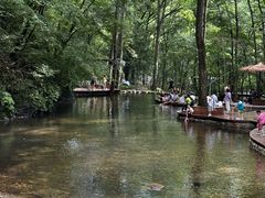 -牛背梁国家森林公园