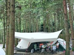 -重庆睡佛山森林公园