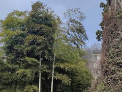-莫干山风景区