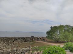 -深圳湾公园(南山区)