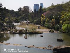 -云溪植物园