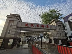 -武汉关码头(轮渡站)