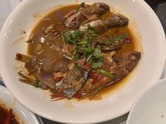 -杨氏青龙虾·羊蝎子(托乐嘉店)