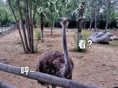 -大连森林动物园