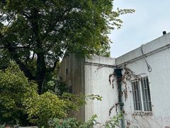 -八大关景区