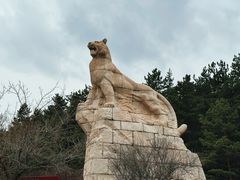 -帽儿山国家森林公园