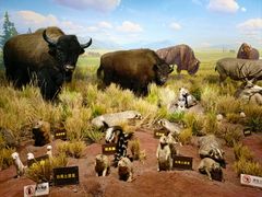 -陕西自然博物馆