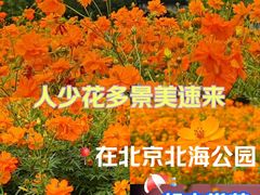 -北海公园