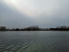 -大兴滨河森林公园