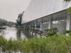 -罗红摄影艺术馆