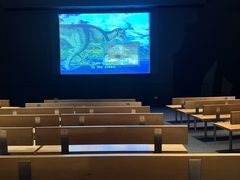 -美国自然历史博物馆