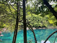 -石台牯牛降景区