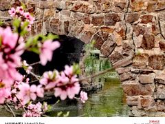 -石家庄市植物园
