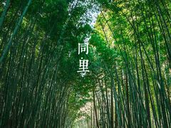 -同里国家湿地公园