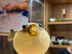 -天正河鲀·河豚亭(大连店)