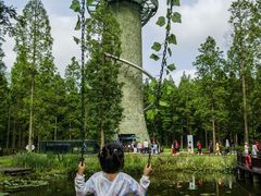 -黄海国家森林公园