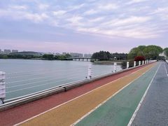 -贡湖湾湿地公园
