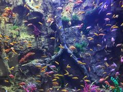 门面-杭州开元森泊度假乐园