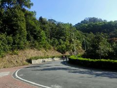 -火炉山森林公园