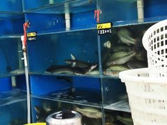 -岳各庄批发市场(西四环中路店)