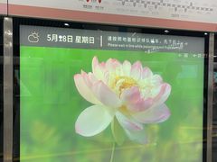 -大望路(地铁站)