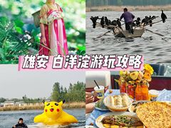 -白洋淀景区