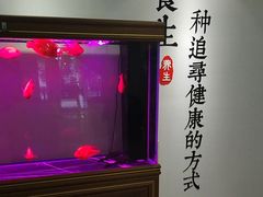 -金蚁康•经络调理•肩颈按摩(万达金街店)