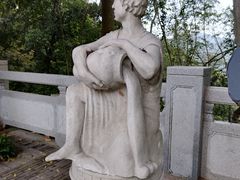 -银湖山郊野公园-相思林