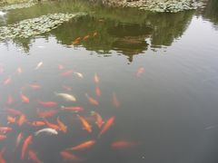-天目湖山水园