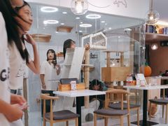 -喵园·猫主题咖啡厅·撸猫·猫咖(国贸店)