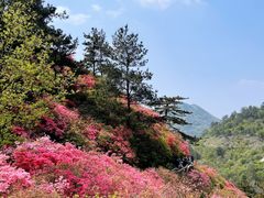 -木兰云雾山