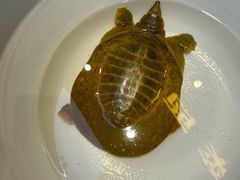 -赣江里•江西菜(望京旺角店)