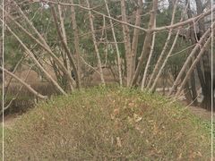 -迎泽公园