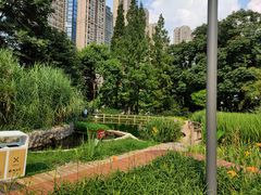 -成都市活水公园